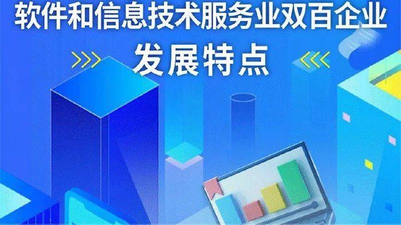 招标代理：软硬件采购的明智之选**